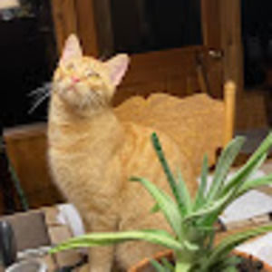 Meet your Posher, Leslie d.